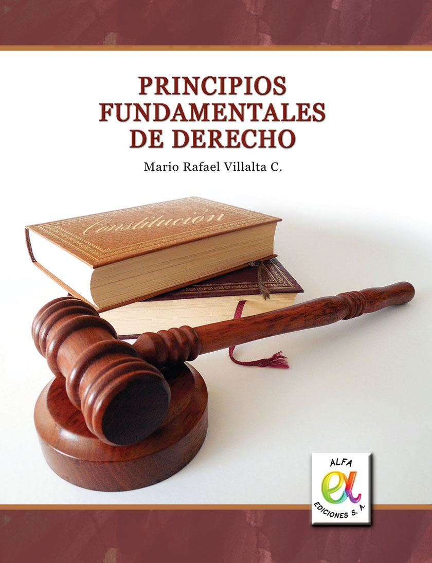 Principios Fundamentales De Derecho Alfa Ediciones Sa